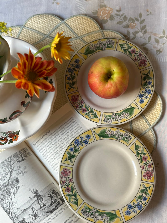 Mustang Meadow Salad Plates