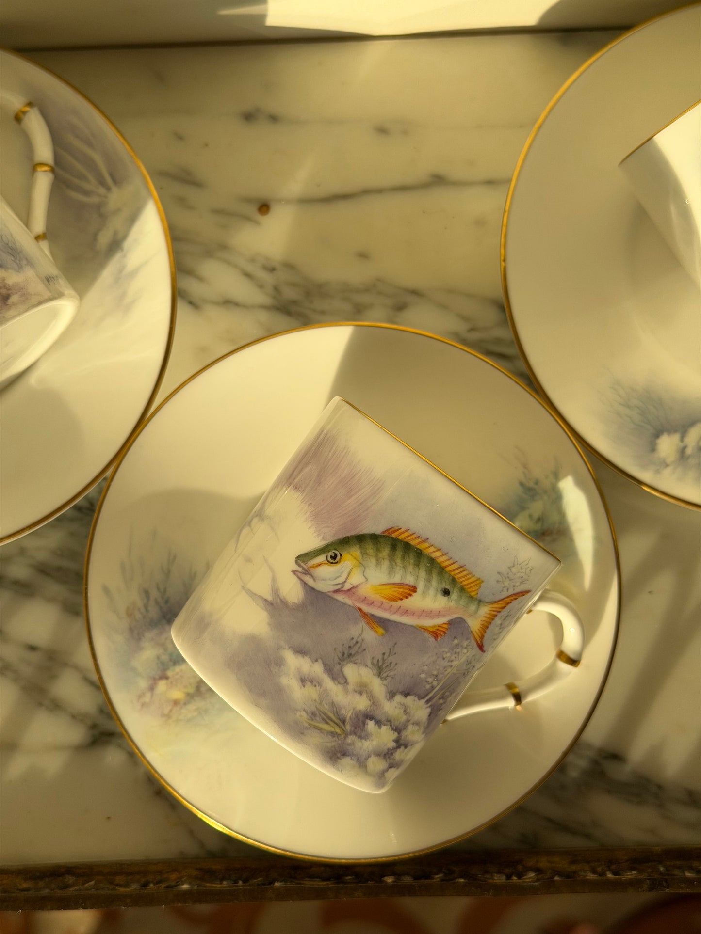 Royal Worcester demitasse teacup and saucer set (6)