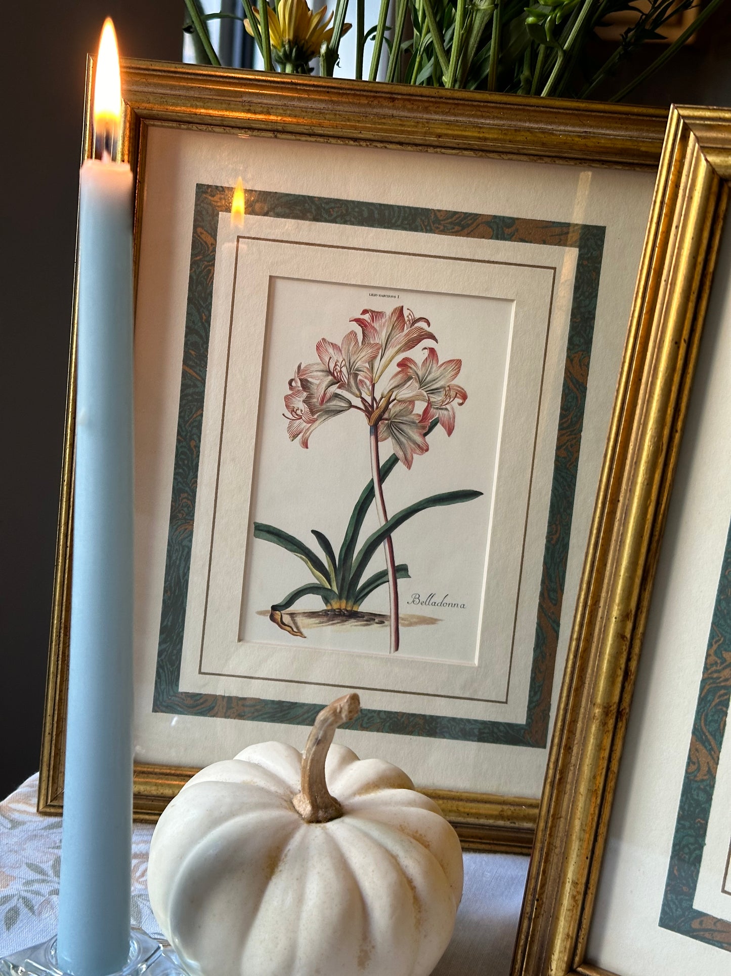 Belladonna Lily Framed Art