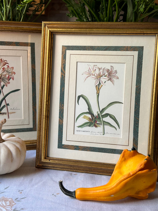 Gilded Lily Framed Art