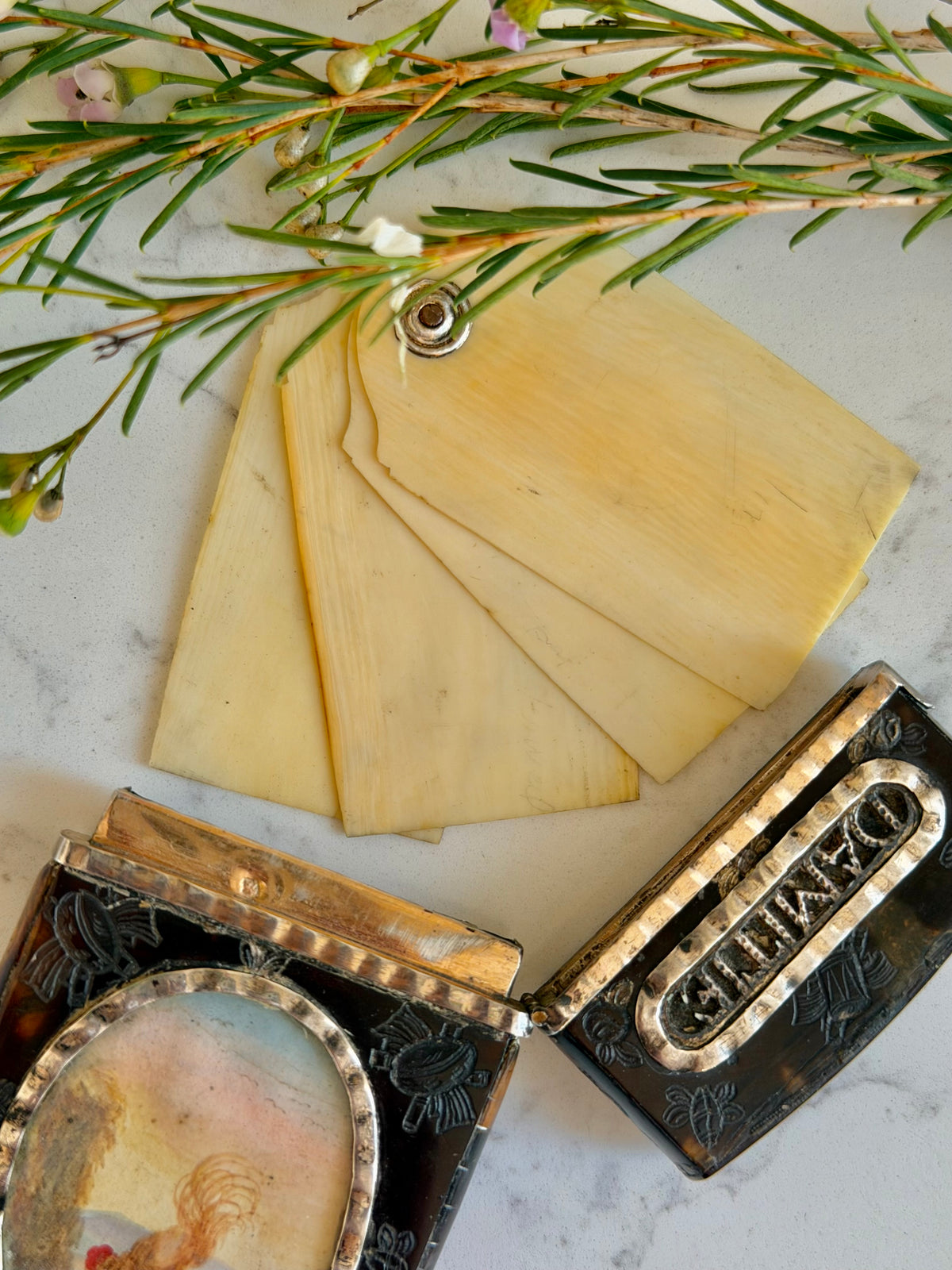 Tortoise & Silver Souvenir Dance Card Case with Painted Miniatures